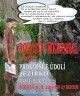 Rokosův memoriál (III. ročník)